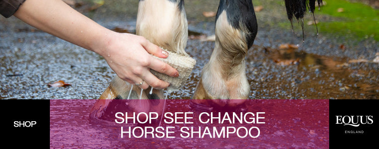 Shop See Change Horse Shampoo Bar at EQUUS