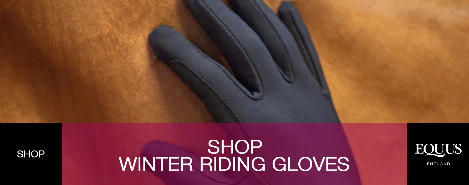 Shop Winter Riding Gloves