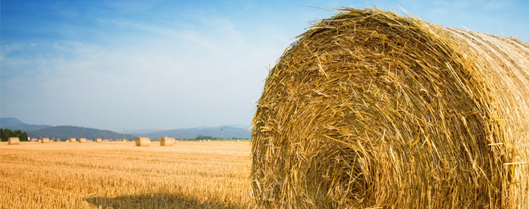 Hay Storage Tips
