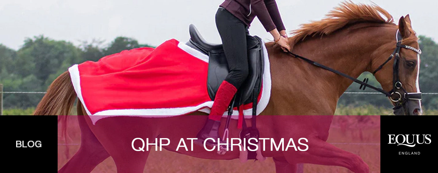 QHP at Christmas