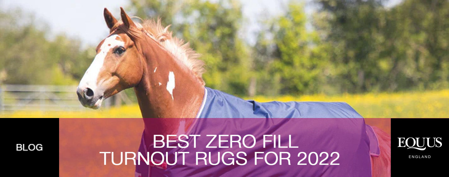 Best Zero Fill Turnout Rugs at EQUUS