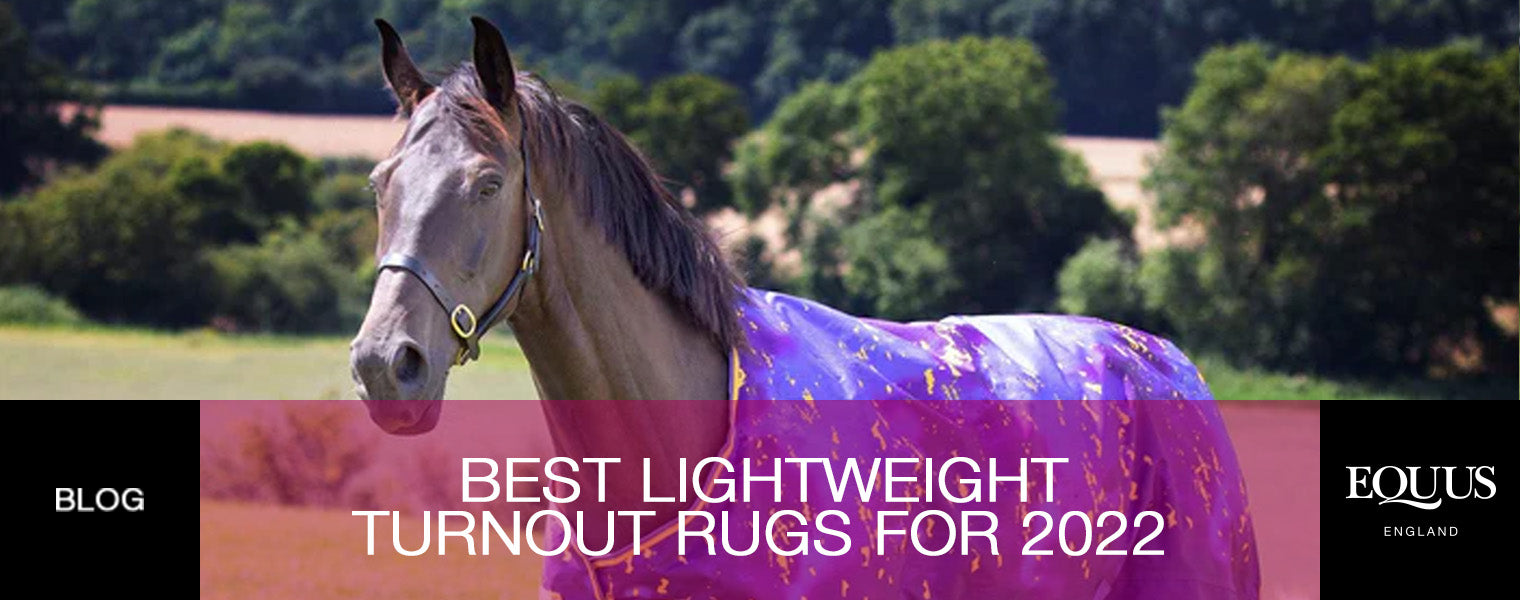Best Lightweight Turnout Rugs