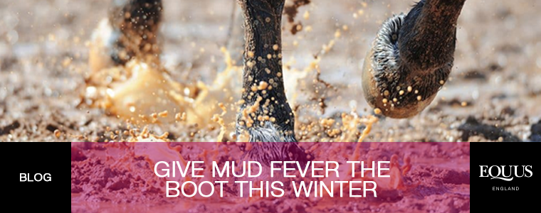 Give Mud Fever the Boot this Winter
