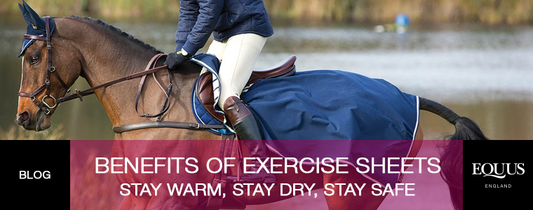 Benefits of Exercise Sheets