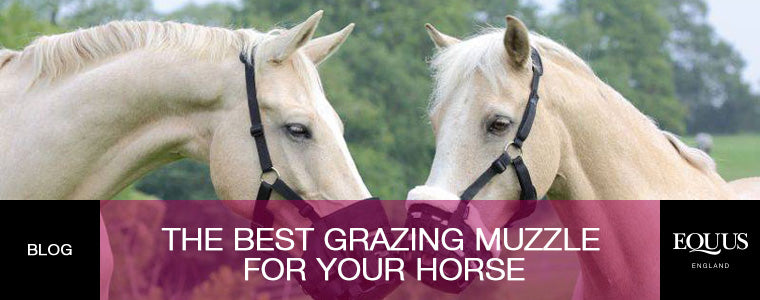 The Best Grazing Muzzles for Your Horse