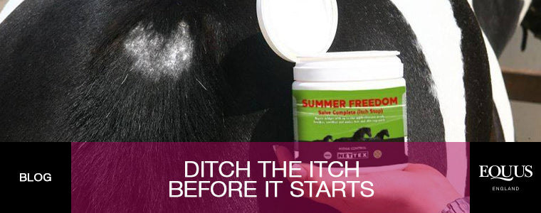 Ditch the Itch Before It Starts Blog at EQUUS