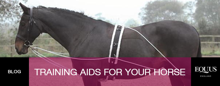 Training Aids For Your Horse