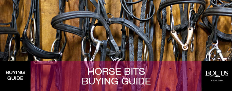 Bits on sale and bridles