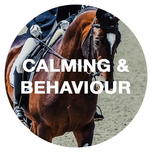 Calming & Behaviour Horse Supplements