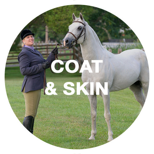 Coat & Skin Care Horse Supplements