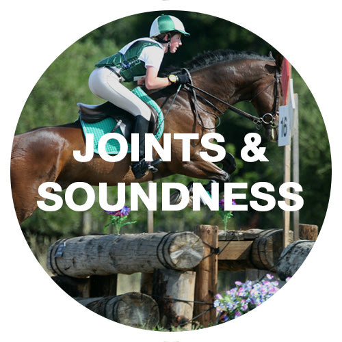 Joints & Soundness Supplements