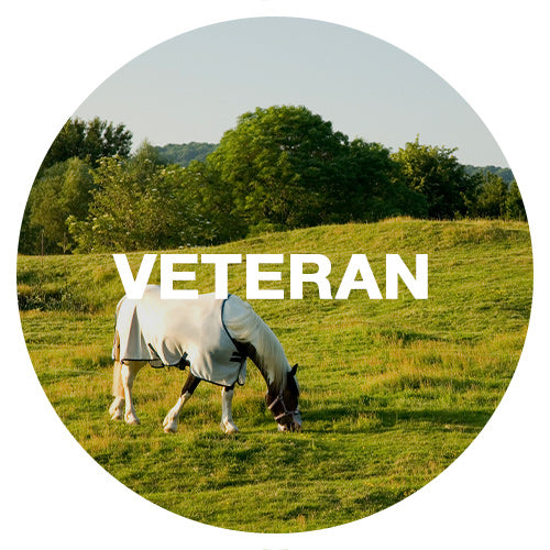 Veteran Horse Supplements