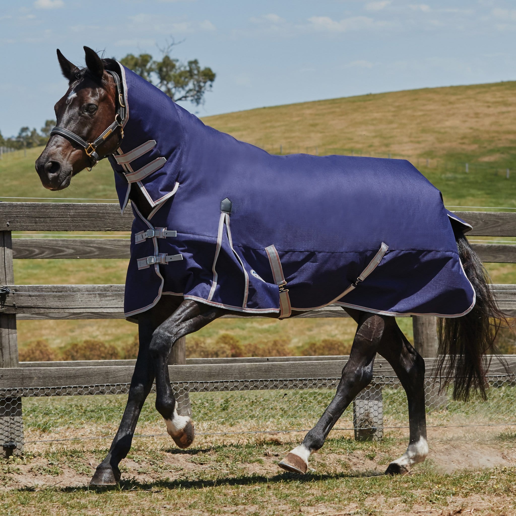 Weatherbeeta ComFiTec Essential Lightweight Plus 50g Combo Neck Turnout Rug