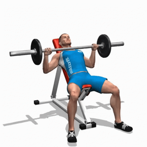 Barbell benchpress