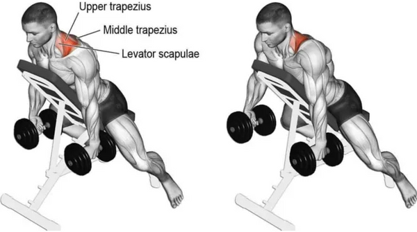 workout bench with dumbell 