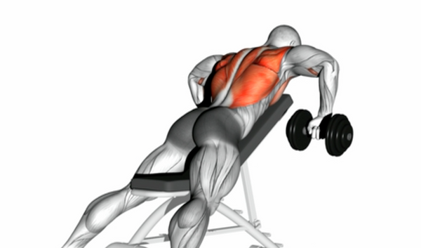 chest support dumbbell row