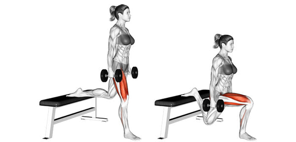 Bulgarian dumbbell split squat 