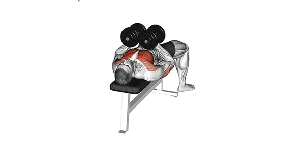 dumbbell Bench press