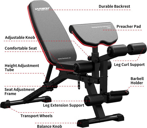 Leg Extension  Preacher Curl