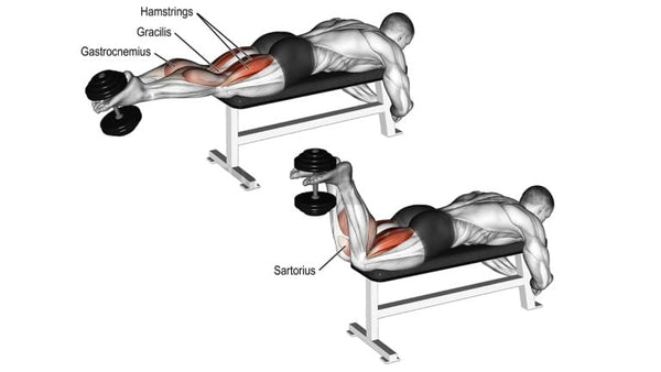 prone lying leg curl