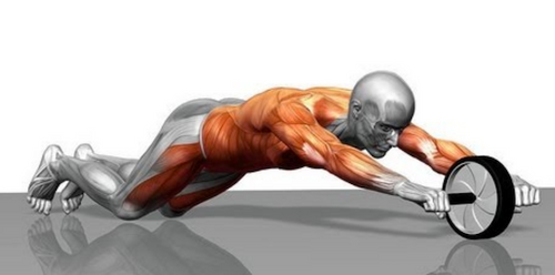 AB roller workout