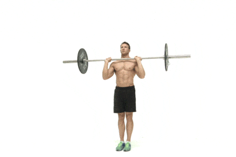 Barbell press