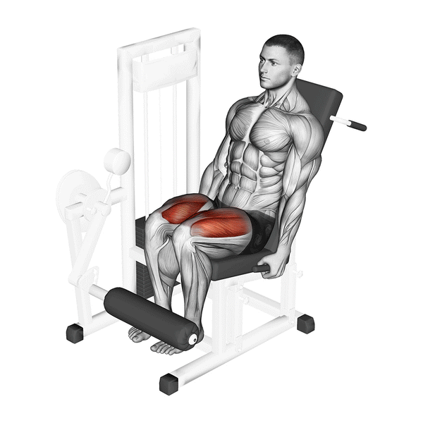 gym bench with leg extension