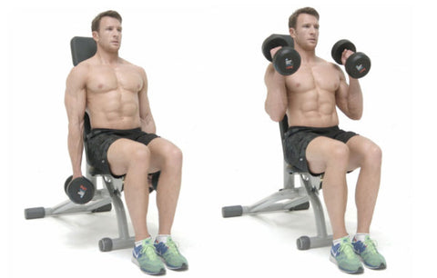 dumbbell hammer bicep curls