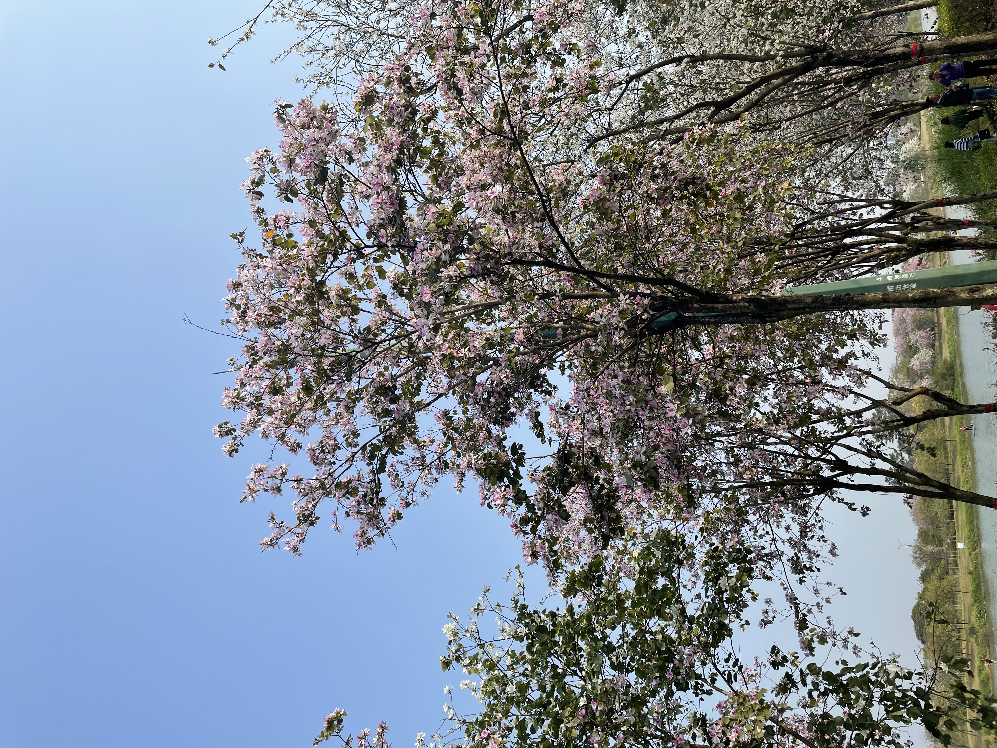 [Copy]-9-勿删-大大大商品-极端商品-500sku-%^&8990004457890#$$%^&*@#%%^&&*())(**&^%$!@#$%^&*()#$%^&*(($%^&*()$%^&*(#$%^&*()#$%^&*()Plaid Printed Splicing Car Heart T-Shirt Valentine's Day women fashion pure cotton casual lover gift young hipster tees art tops