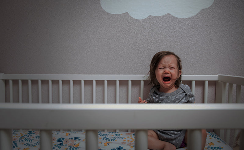 set boundaries, sleep training, why babies fight sleep