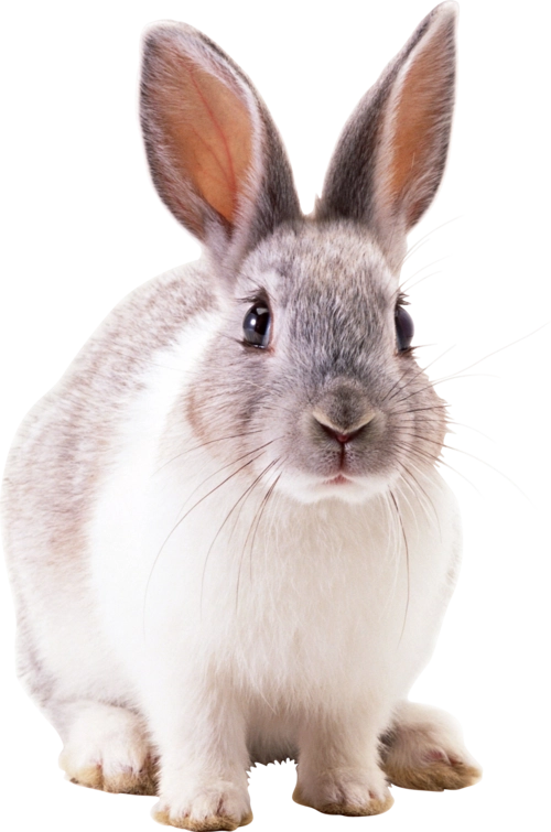 多sku图测试-多规格