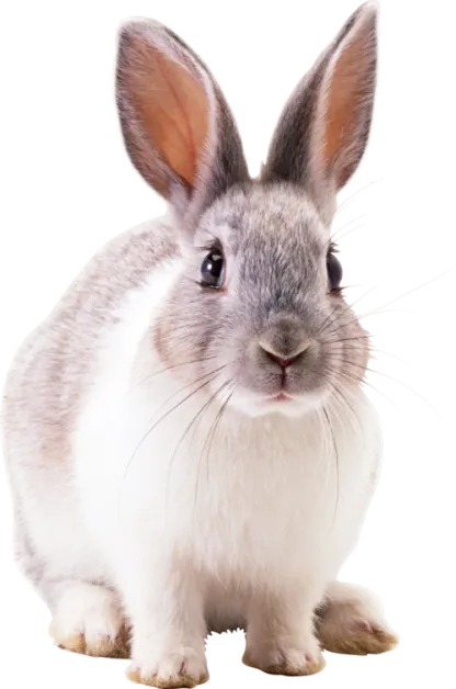 多sku图测试-多规格