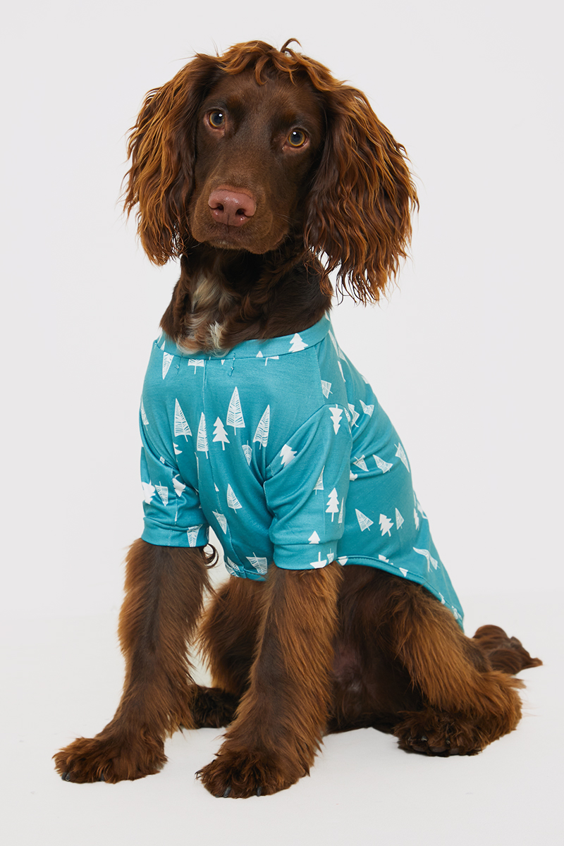'Merry Christmas' Print Dog PJ