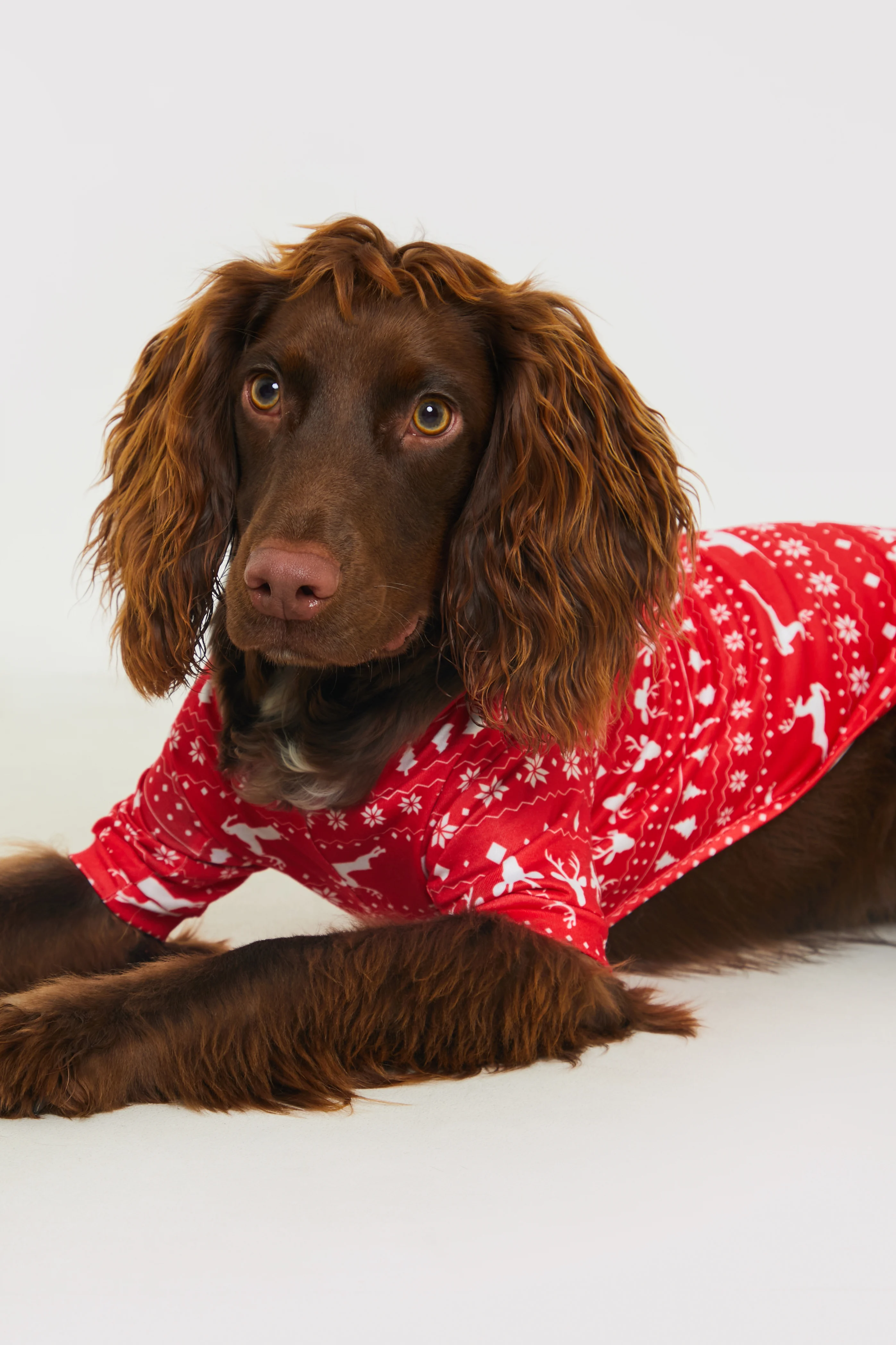Reindeer Fairisle Dog PJ