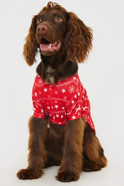 'It's Beginning To Look A Lot Like Christmas' Print Dog PJ