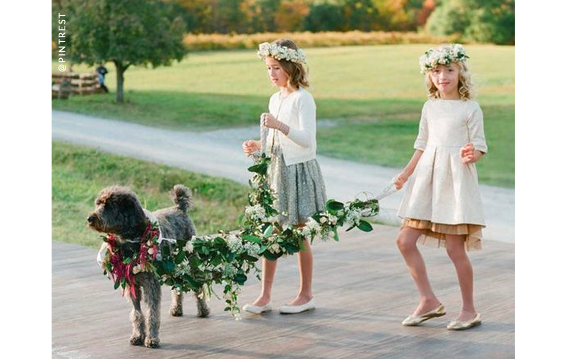 Flower Girls and Dogs