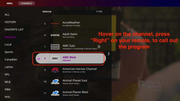 vSeebox Heat Live normal EPG details
