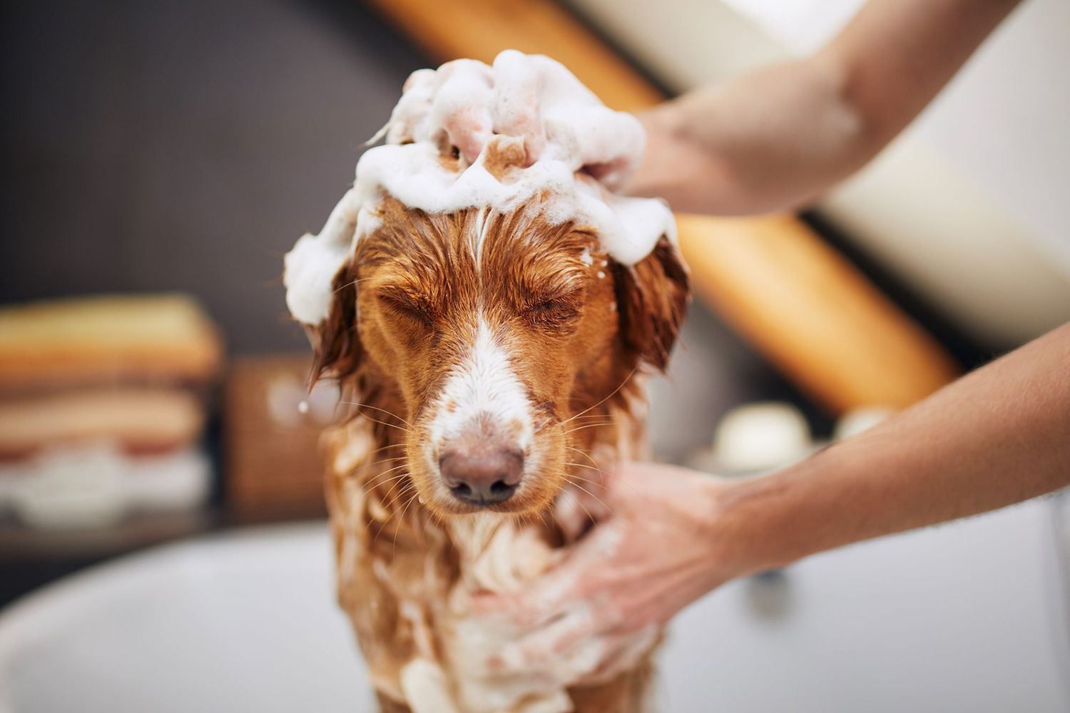 Grooming Practices