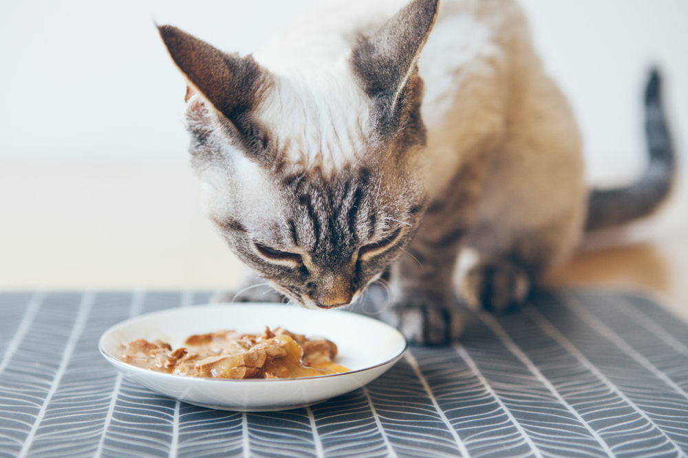 Identifying Food Allergies