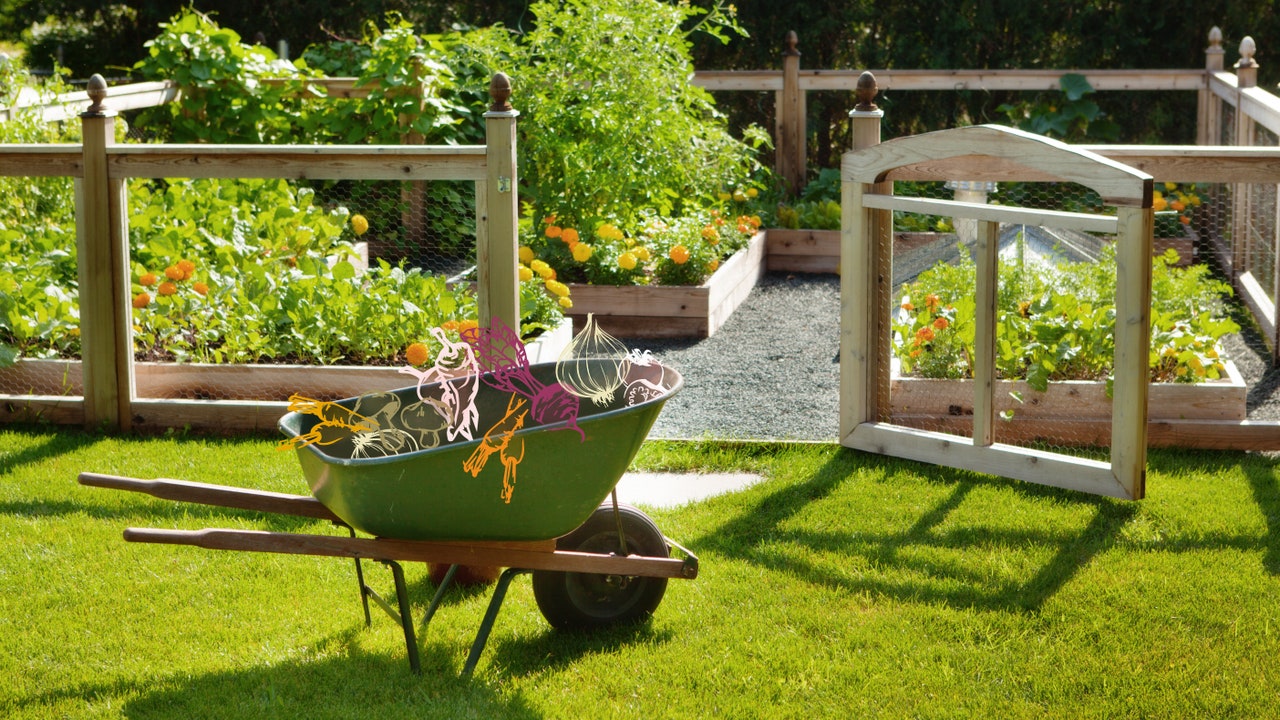16 Backyard Vegetable Garden Ideas for Beginners | Architectural Digest |  Architectural Digest