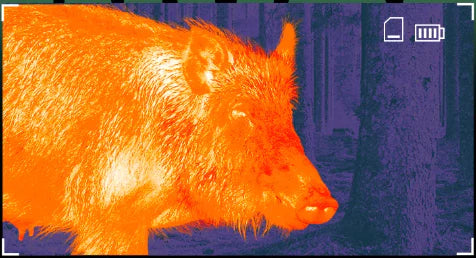 IR Resolution demonstration