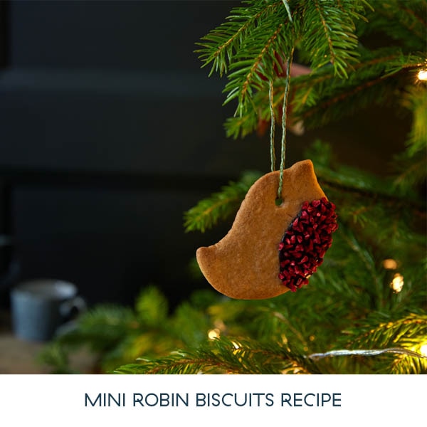 Mini Robin Biscuits Recipe