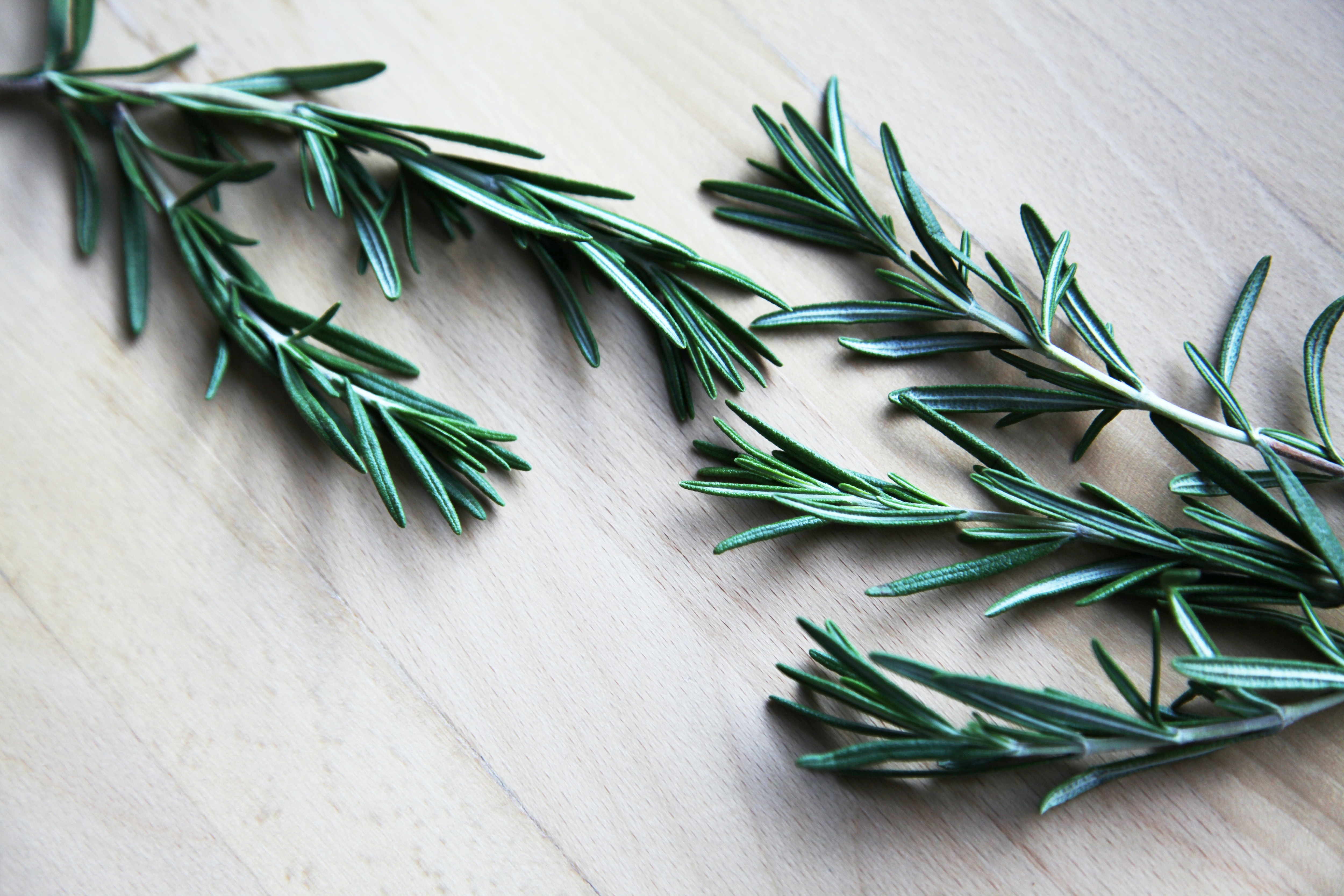 Rosemary on table Rosemary on table
