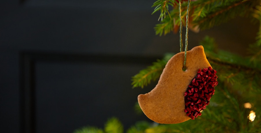 Eco Friendly Christmas Decoration