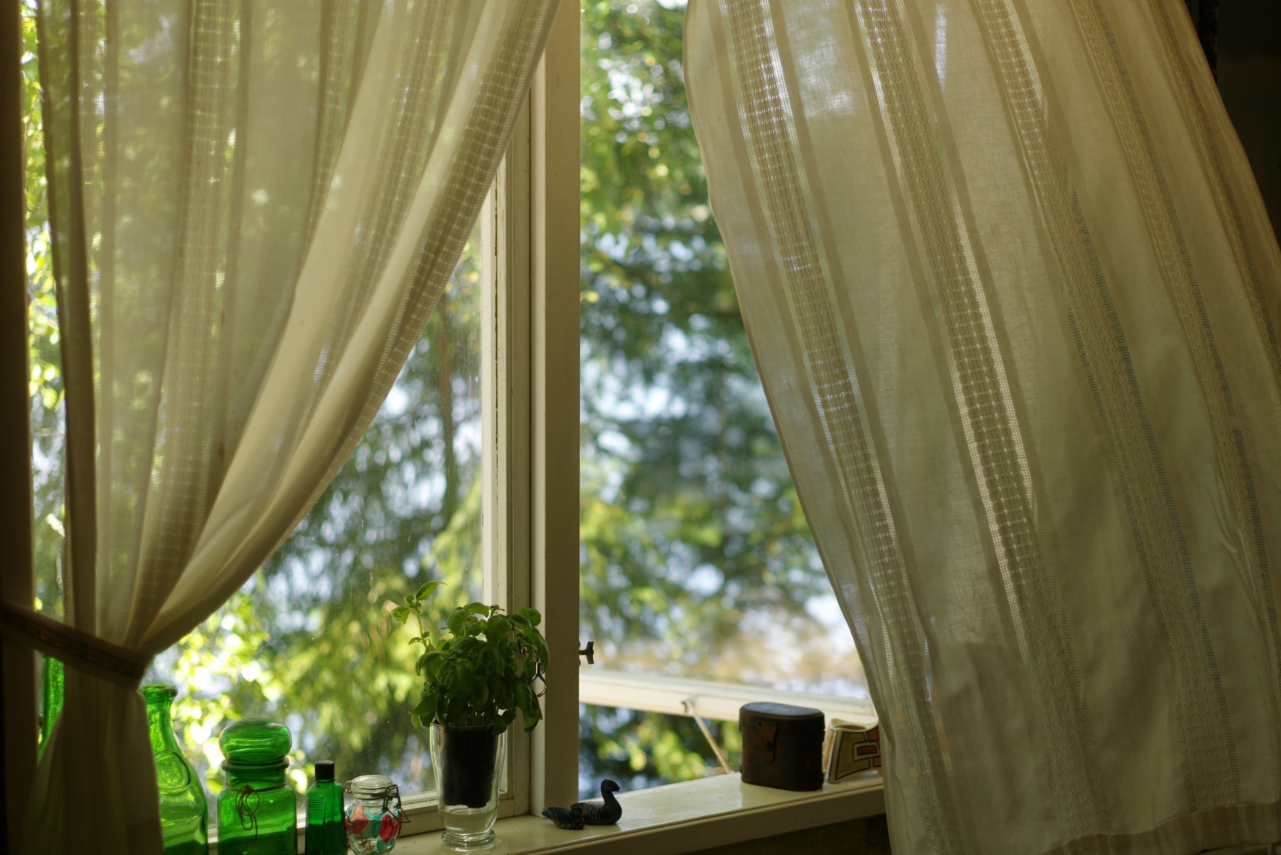Open Window Open window