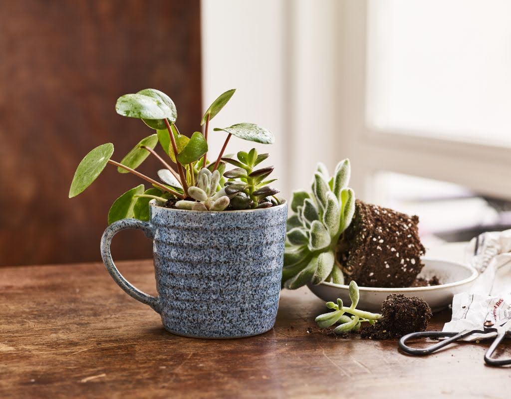 Denby Pottery