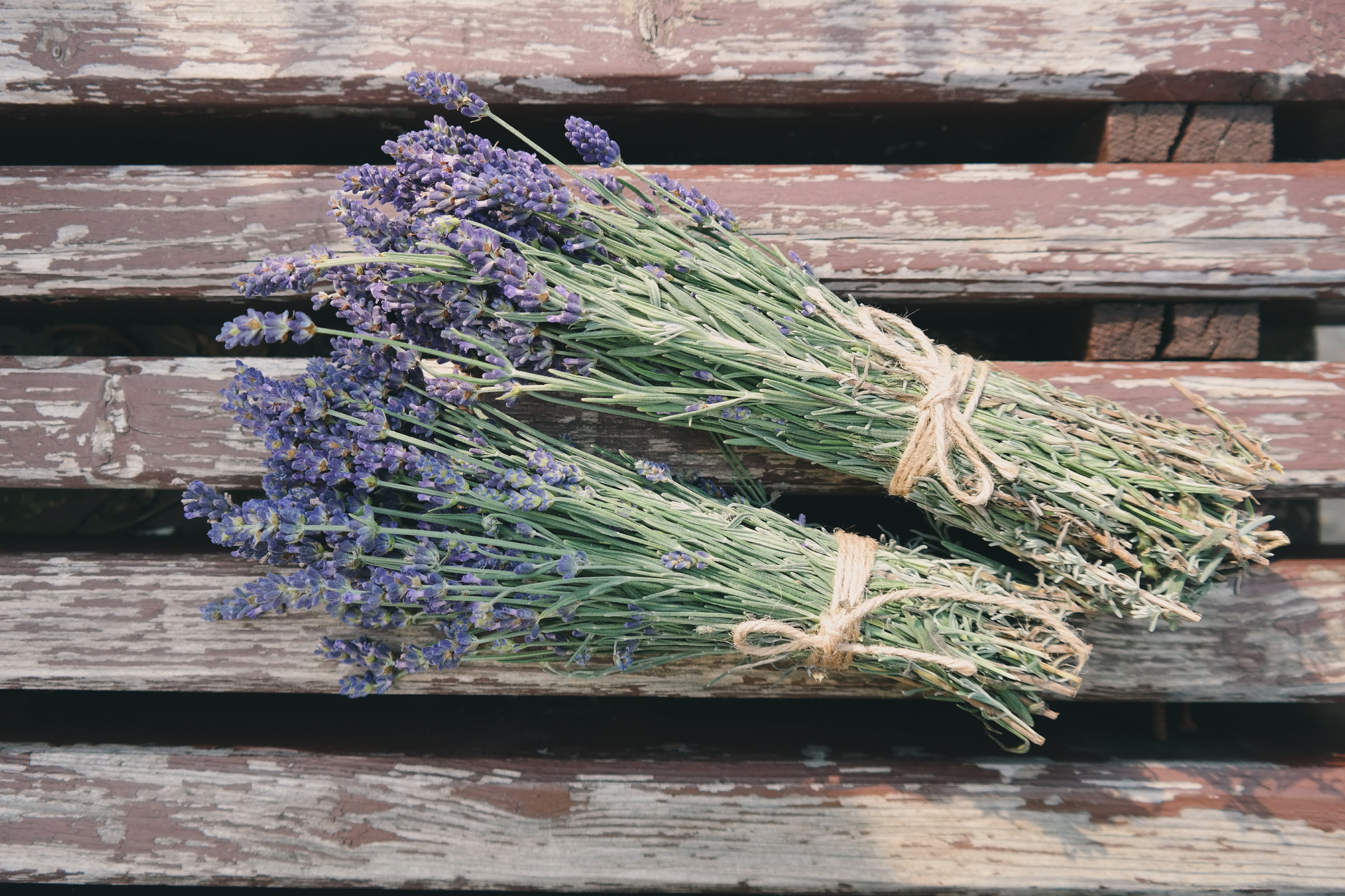 Bundles of lavender Bundles of lavender