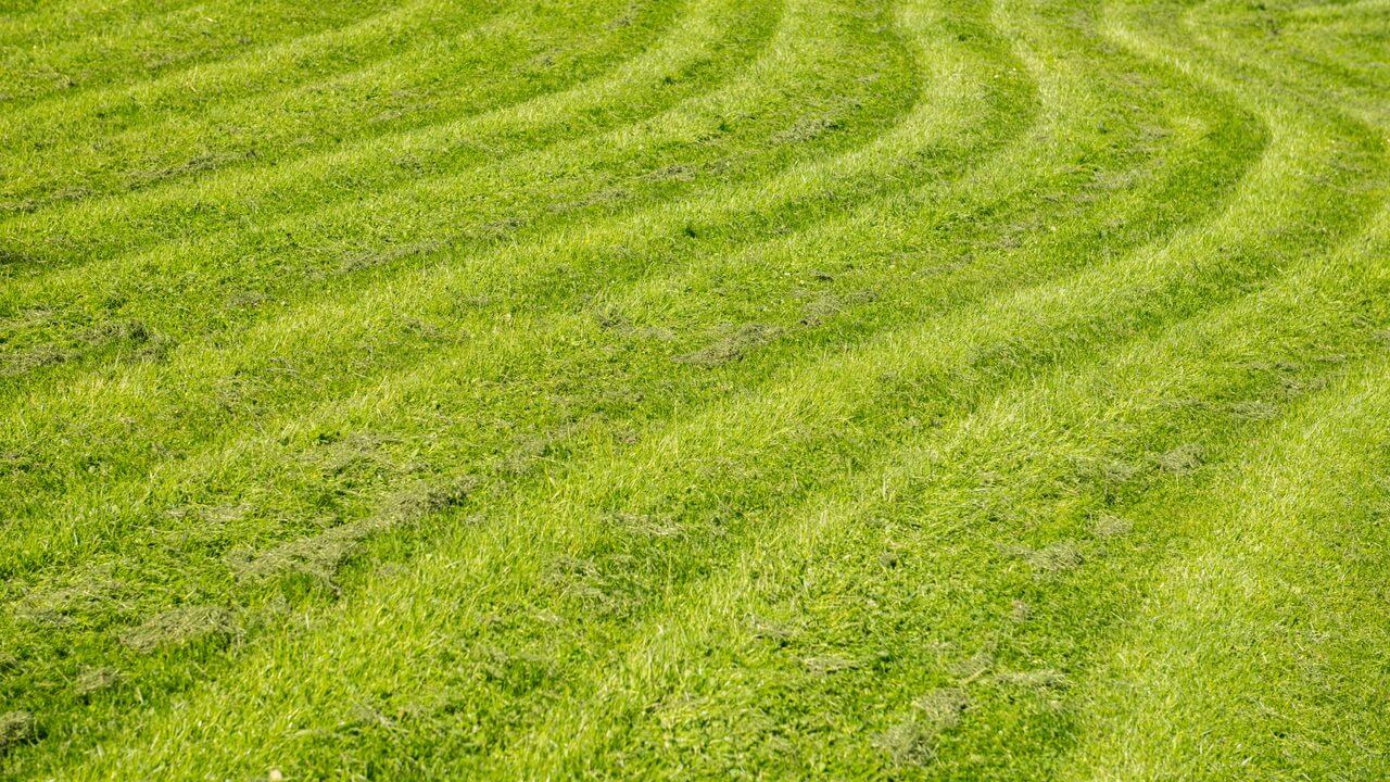 Wave Pattern Mowing