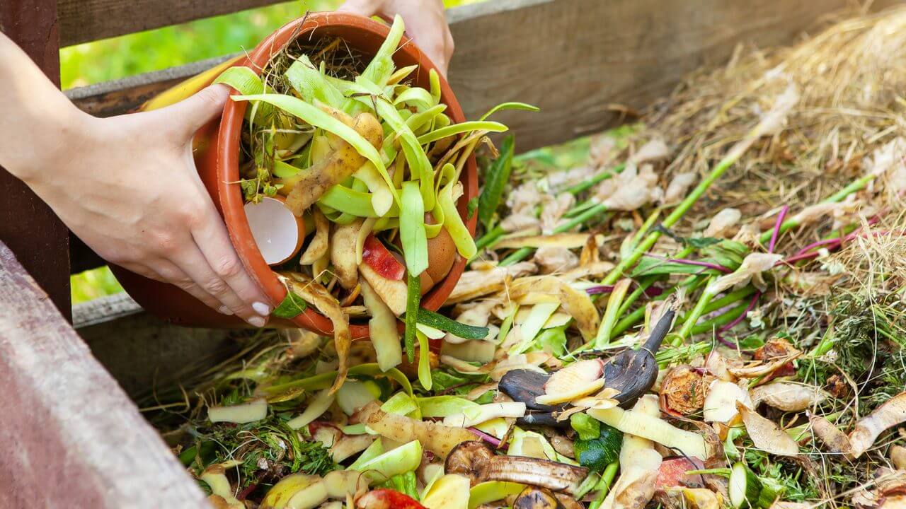 Start a Compost Bin