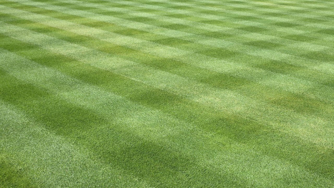 Checkerboard mowing Pattern